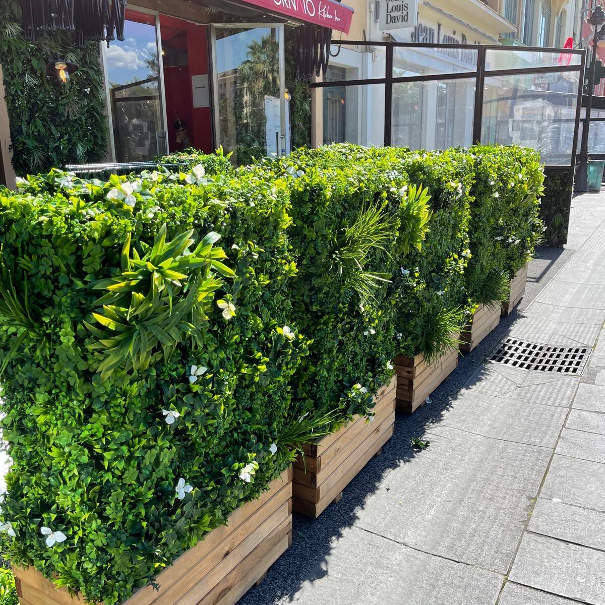 IMG 20250602 WA0030 uai