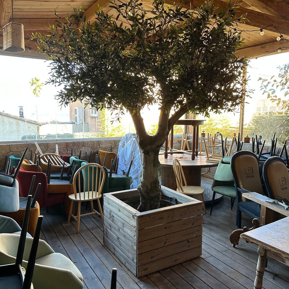 IMG 20250602 WA0040 uai